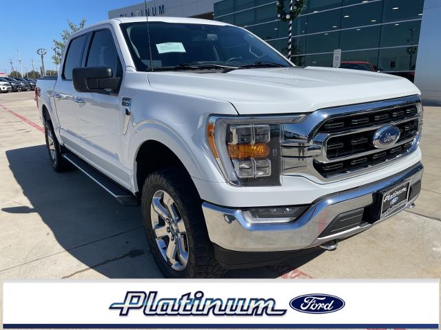 2021 Ford F-150 Vehicle Photo in Terrell, TX 75160