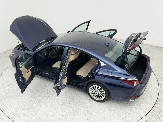 2019 Lexus ES 300h Vehicle Photo in Grapevine, TX 76051