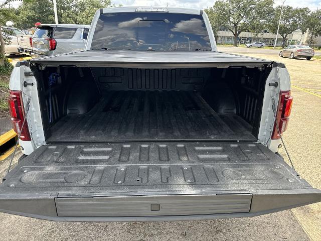 2017 Ford F-150 Vehicle Photo in BATON ROUGE, LA 70806-4466