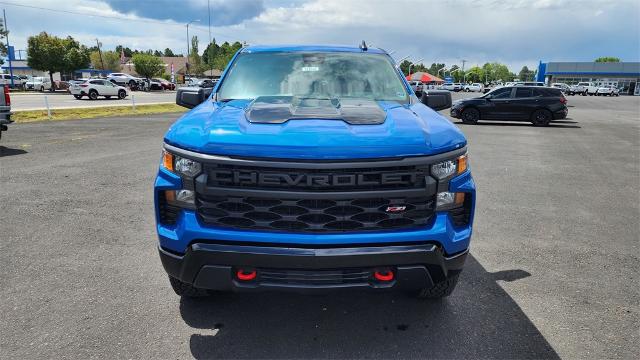 2024 Chevrolet Silverado 1500 Vehicle Photo in FLAGSTAFF, AZ 86001-6214