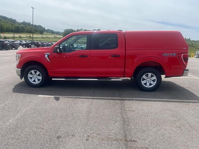 2021 Ford F-150 Vehicle Photo in Jackson, OH 45640-9766