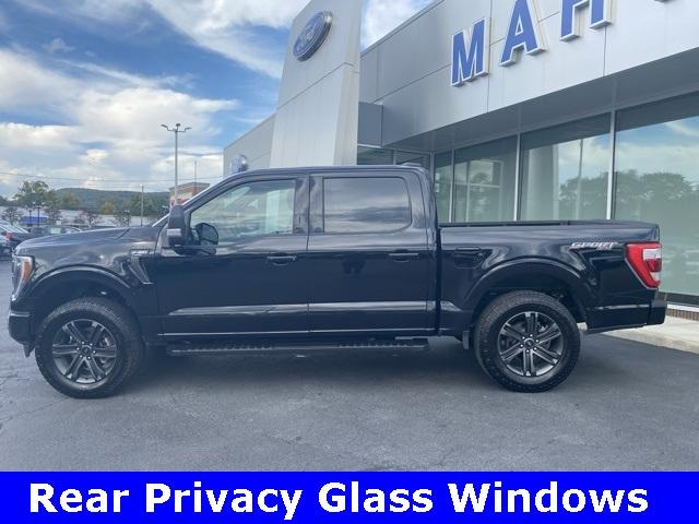 2022 Ford F-150 Vehicle Photo in Mahwah, NJ 07430-1343