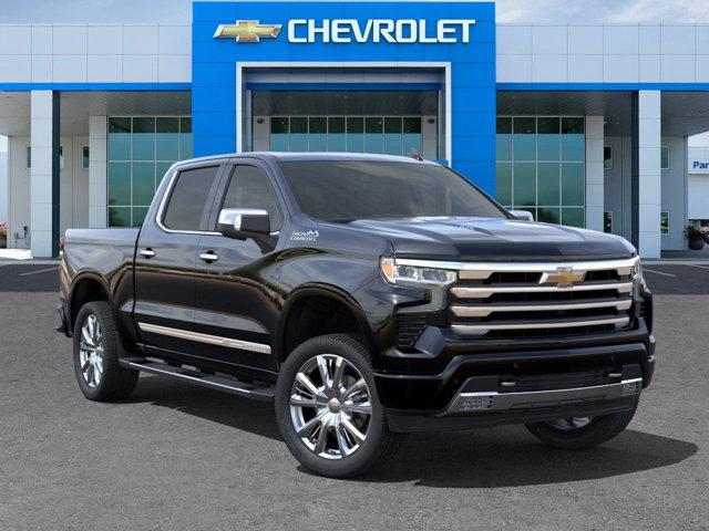 2024 Chevrolet Silverado 1500 Vehicle Photo in SELMA, TX 78154-1460