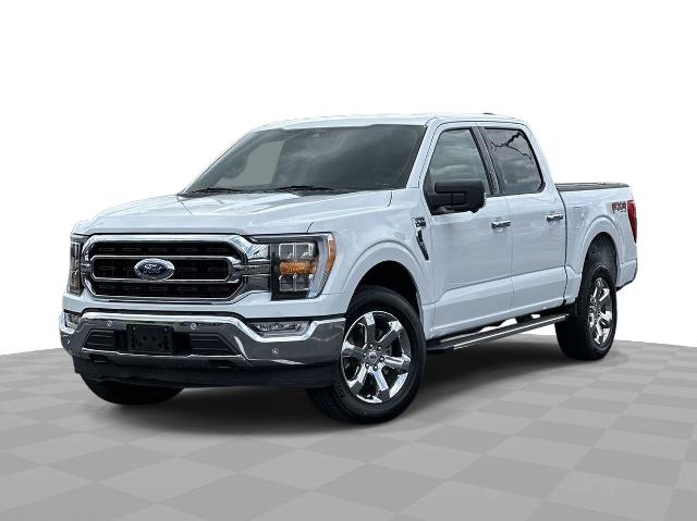 2022 Ford F-150 Vehicle Photo in TEMPLE, TX 76504-3447