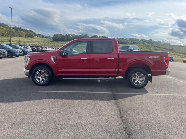 2021 Ford F-150 Vehicle Photo in Jackson, OH 45640-9766