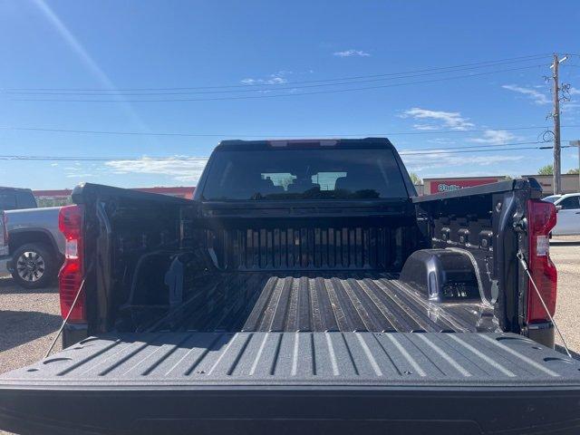 2024 Chevrolet Silverado 1500 Vehicle Photo in SAUK CITY, WI 53583-1301