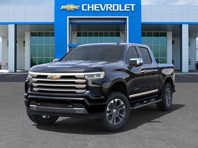 2025 Chevrolet Silverado 1500 Vehicle Photo in SELMA, TX 78154-1460