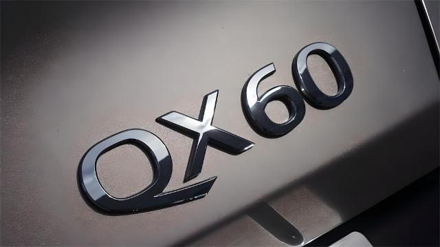 2023 INFINITI QX60 Vehicle Photo in Grapevine, TX 76051