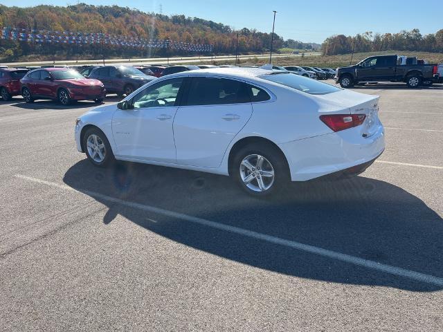 2024 Chevrolet Malibu Vehicle Photo in Jackson, OH 45640-9766