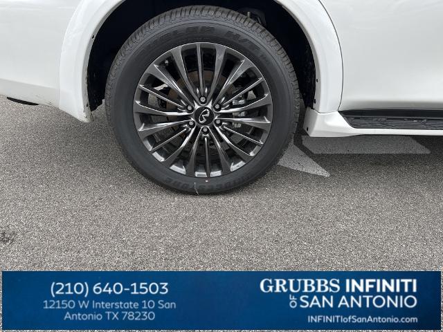 2024 INFINITI QX80 Vehicle Photo in San Antonio, TX 78230