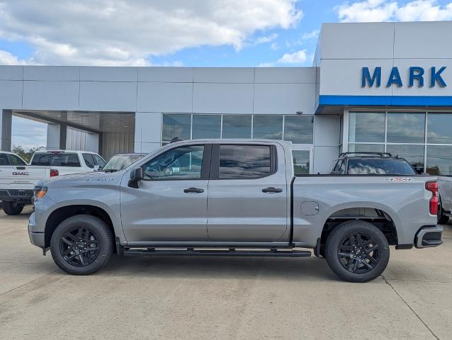 2024 Chevrolet Silverado 1500 Vehicle Photo in POMEROY, OH 45769-1023