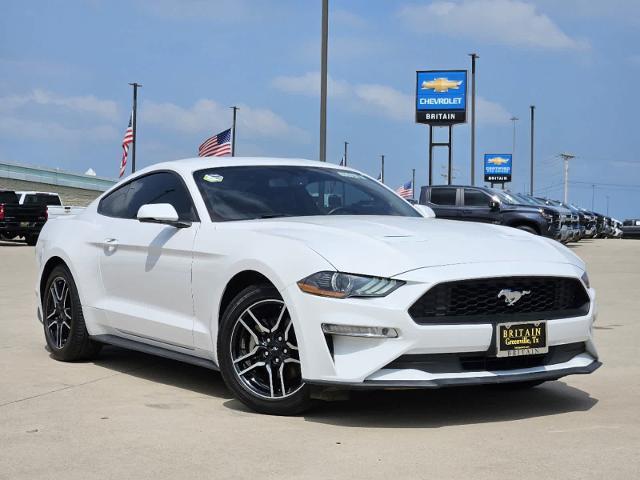 2020 Ford Mustang Vehicle Photo in Greenville, TX 75402