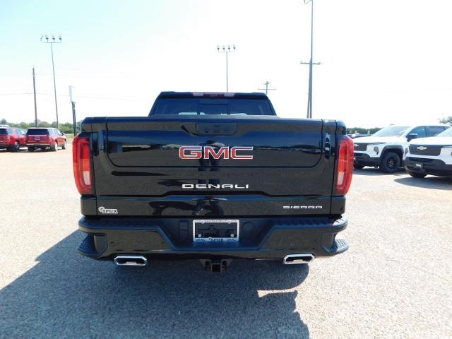 2025 GMC Sierra 1500 Vehicle Photo in Weatherford, TX 76087