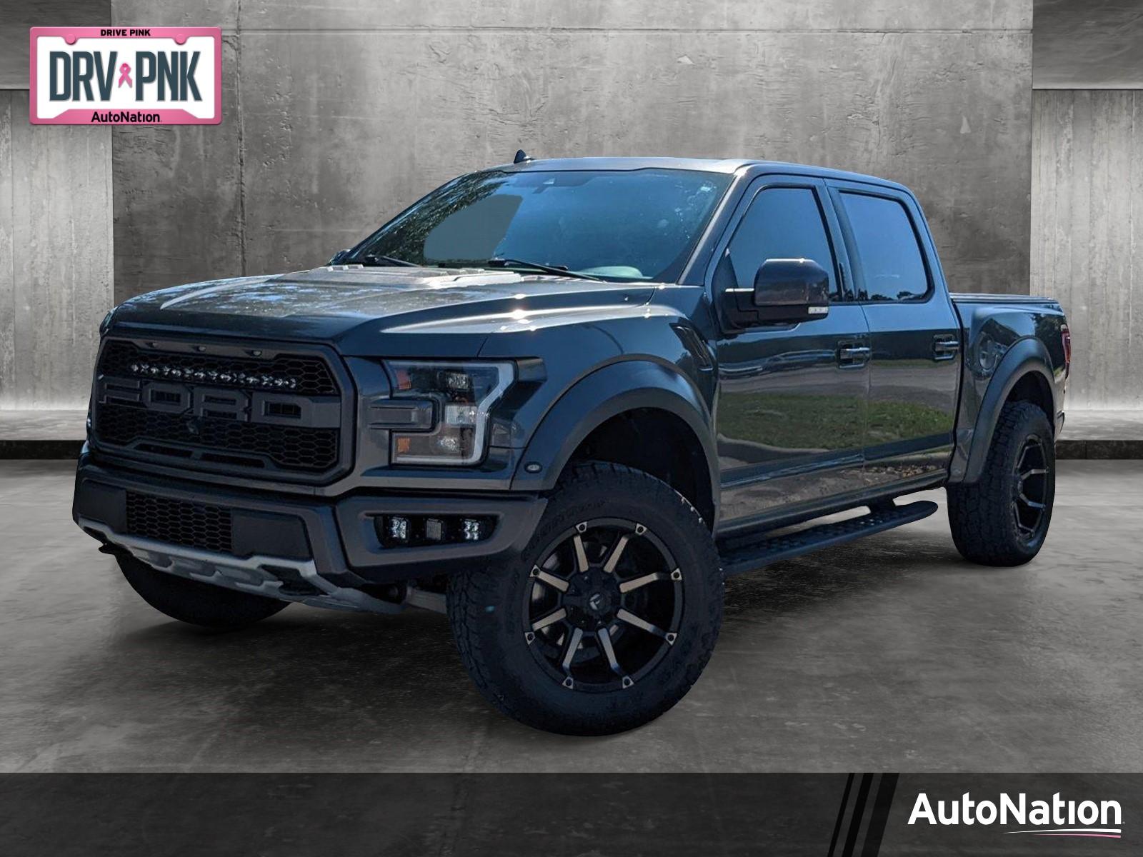 2019 Ford F-150 Vehicle Photo in Jacksonville, FL 32256