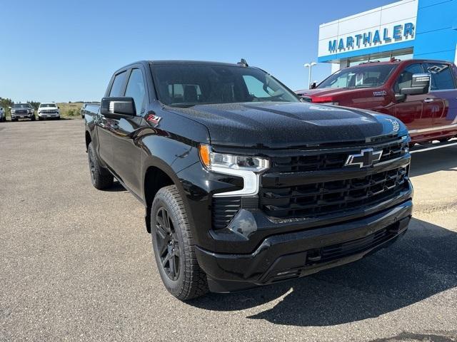 2025 Chevrolet Silverado 1500 Vehicle Photo in GLENWOOD, MN 56334-1123