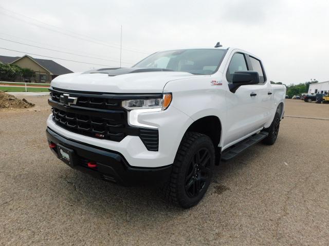 2024 Chevrolet Silverado 1500 Vehicle Photo in GATESVILLE, TX 76528-2745