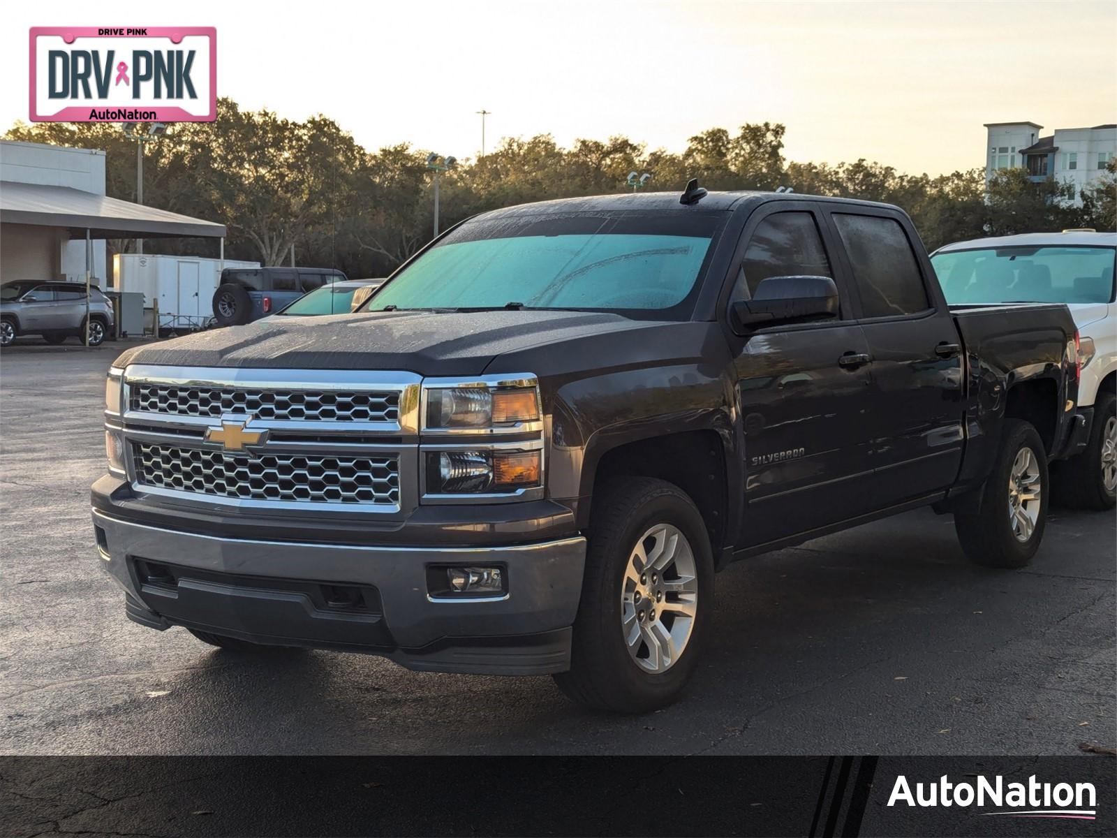 2015 Chevrolet Silverado 1500 Vehicle Photo in Jacksonville, FL 32256