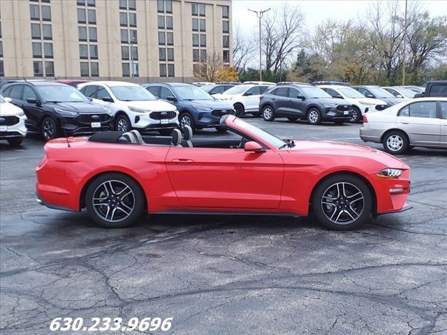 2019 Ford Mustang Vehicle Photo in Saint Charles, IL 60174