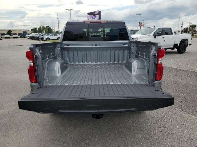 2024 Chevrolet Silverado 1500 Vehicle Photo in BROUSSARD, LA 70518-0000