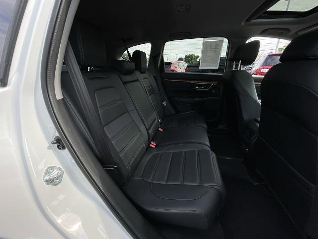 2022 Honda CR-V Vehicle Photo in WILLIAMSVILLE, NY 14221-4303