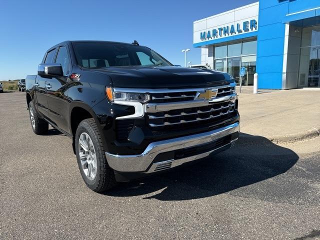 2025 Chevrolet Silverado 1500 Vehicle Photo in GLENWOOD, MN 56334-1123