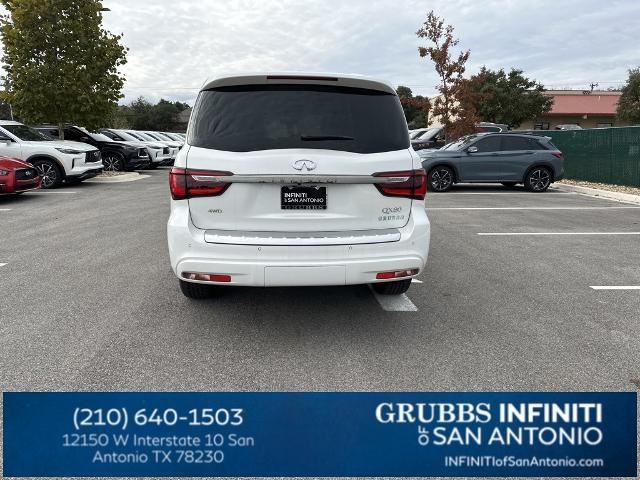 2024 INFINITI QX80 Vehicle Photo in San Antonio, TX 78230