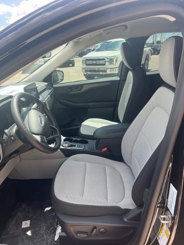 2024 Ford Escape Vehicle Photo in Winslow, AZ 86047-2439