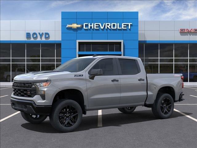 2025 Chevrolet Silverado 1500 Vehicle Photo in EMPORIA, VA 23847-1235