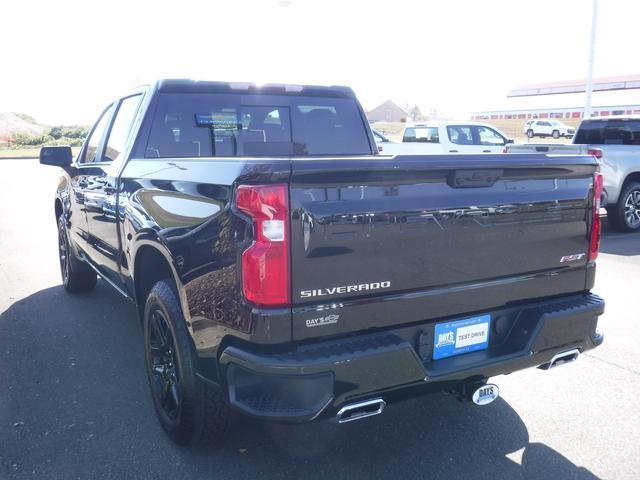 2024 Chevrolet Silverado 1500 Vehicle Photo in JASPER, GA 30143-8655