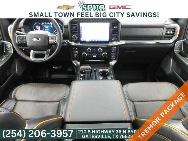 2023 Ford F-150 Vehicle Photo in GATESVILLE, TX 76528-2745