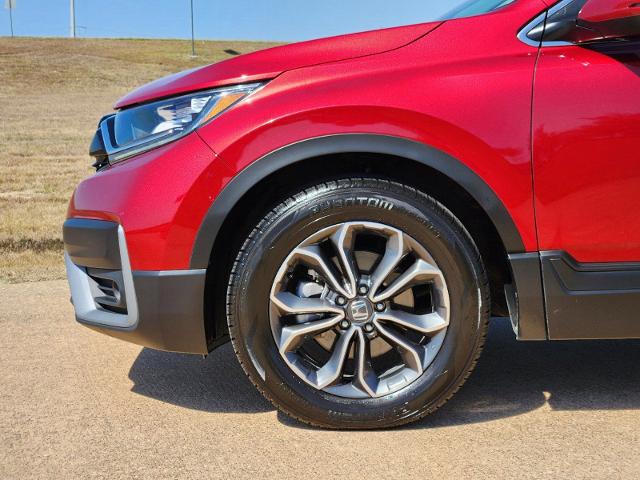 2022 Honda CR-V Vehicle Photo in Denison, TX 75020