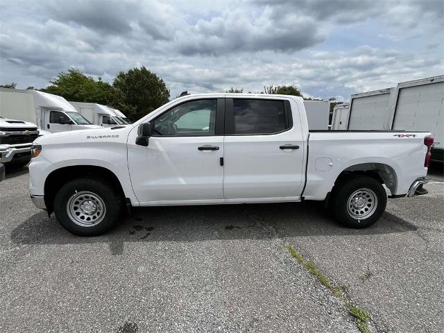 2024 Chevrolet Silverado 1500 Vehicle Photo in ALCOA, TN 37701-3235