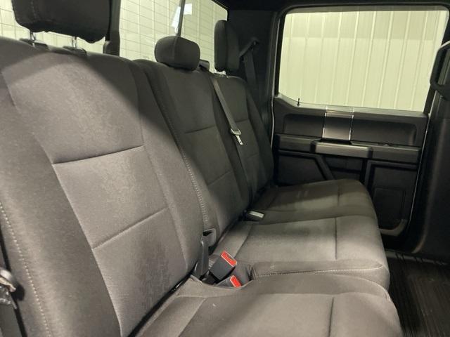 2020 Ford F-150 Vehicle Photo in GLENWOOD, MN 56334-1123