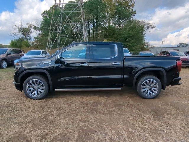 2025 GMC Sierra 1500 Vehicle Photo in ALBERTVILLE, AL 35950-0246