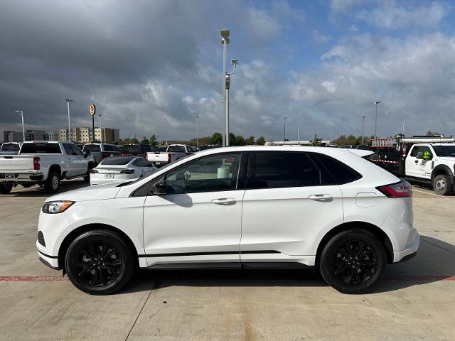 2024 Ford Edge Vehicle Photo in Terrell, TX 75160