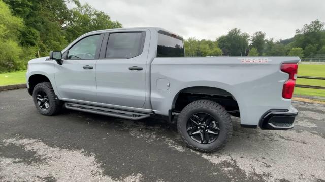 2024 Chevrolet Silverado 1500 Vehicle Photo in THOMPSONTOWN, PA 17094-9014