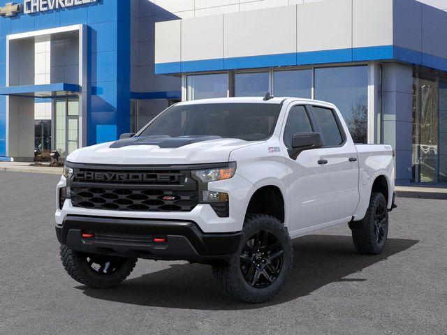 2025 Chevrolet Silverado 1500 Vehicle Photo in DANBURY, CT 06810-5034