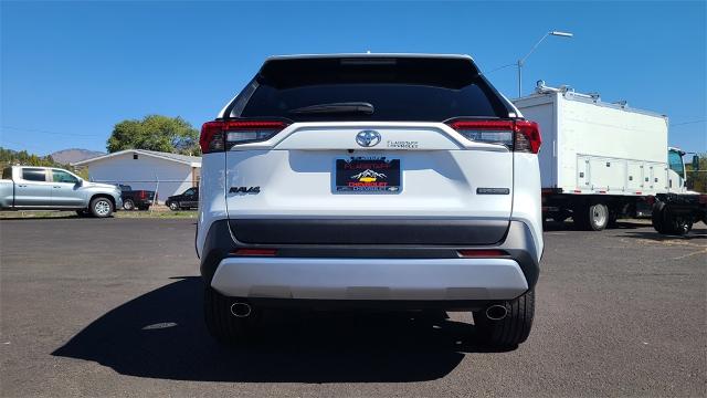 2024 Toyota RAV4 Vehicle Photo in FLAGSTAFF, AZ 86001-6214