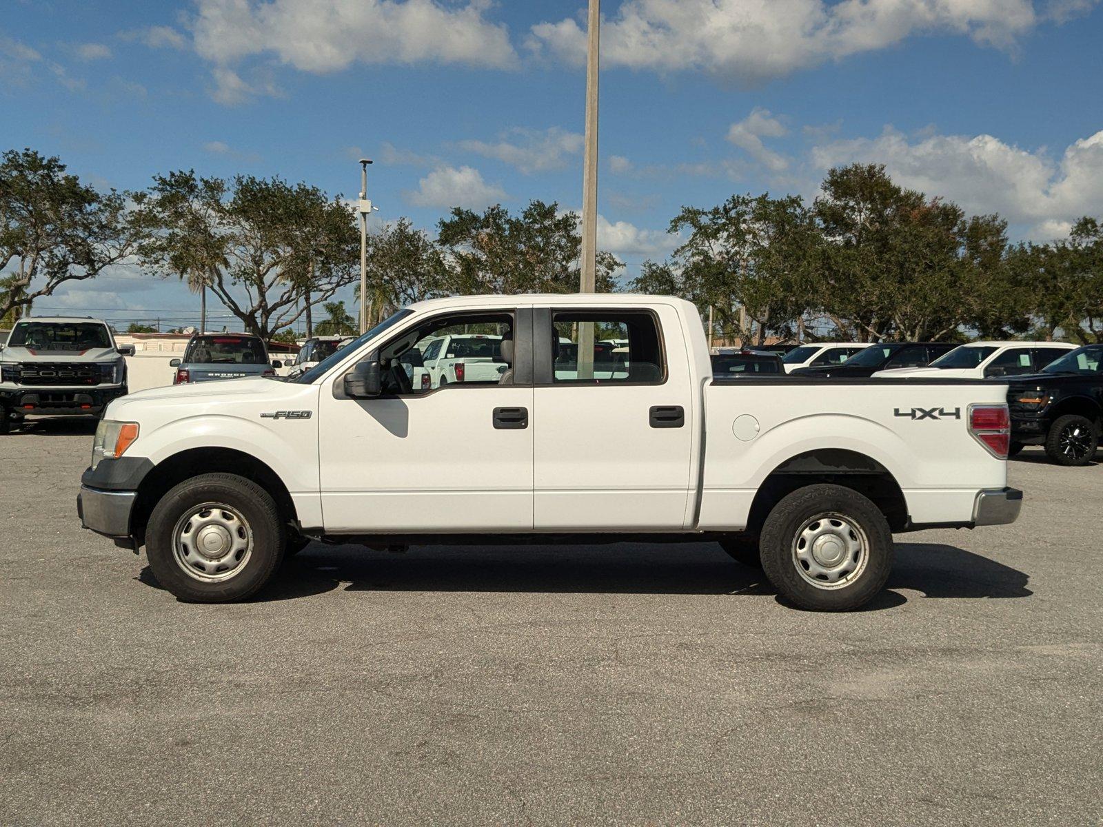 2014 Ford F-150 Vehicle Photo in St. Petersburg, FL 33713