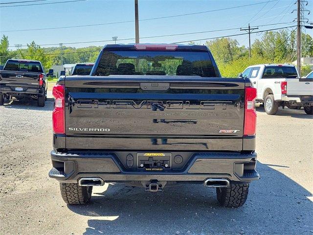 2019 Chevrolet Silverado 1500 Vehicle Photo in MILFORD, OH 45150-1684