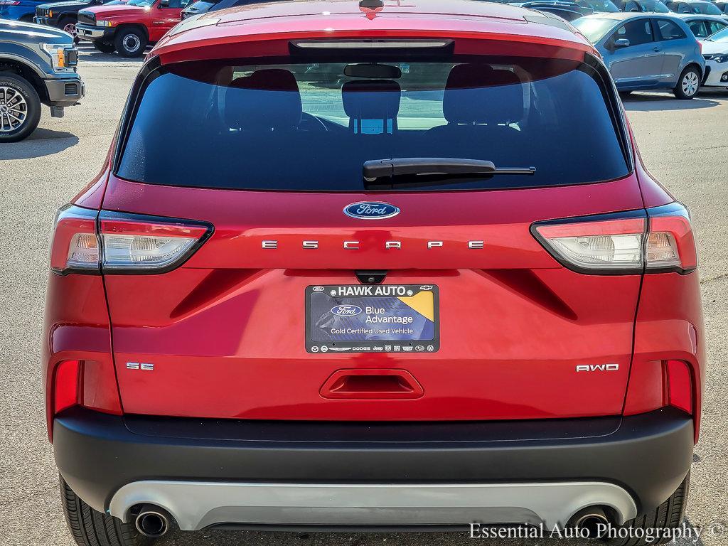 2020 Ford Escape Vehicle Photo in Plainfield, IL 60586