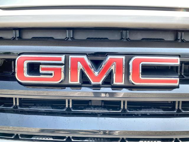 2021 GMC Sierra 1500 Vehicle Photo in WILLIAMSVILLE, NY 14221-2883