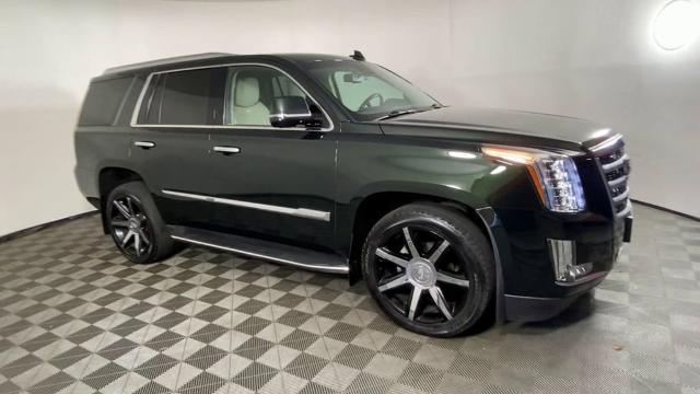 2016 Cadillac Escalade Vehicle Photo in ALLIANCE, OH 44601-4622