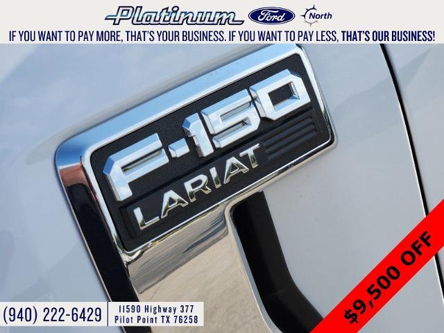 2024 Ford F-150 Vehicle Photo in Pilot Point, TX 76258