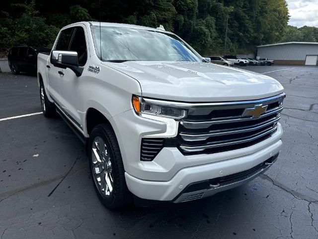 2024 Chevrolet Silverado 1500 Vehicle Photo in MARION, NC 28752-6372