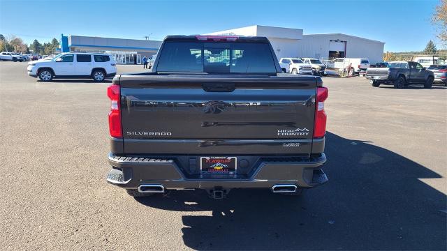 2023 Chevrolet Silverado 1500 Vehicle Photo in FLAGSTAFF, AZ 86001-6214