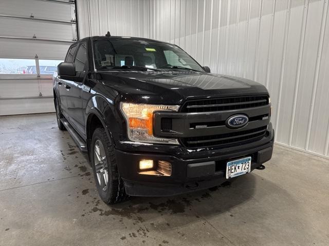 2019 Ford F-150 Vehicle Photo in GLENWOOD, MN 56334-1123