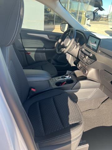 2024 Ford Escape Vehicle Photo in Winslow, AZ 86047-2439