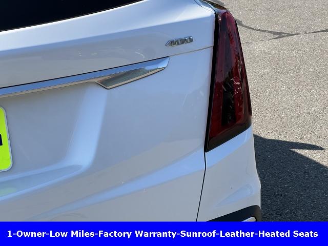 2021 Cadillac XT5 Vehicle Photo in CHICOPEE, MA 01020-5001