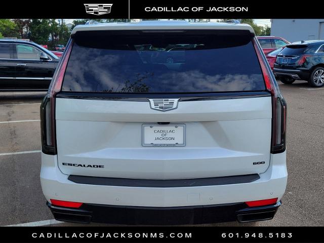 2024 Cadillac Escalade Vehicle Photo in RIDGELAND, MS 39157-4406